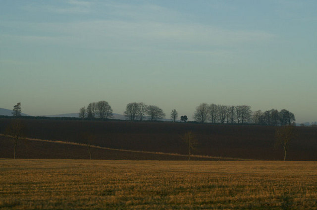 Fields between Airlie and Westmuir