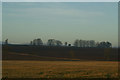 Fields between Airlie and Westmuir