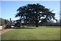 Grounds of Culford School