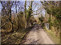 Lower Bullington - Narrow Road