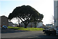 Plymouth: Morice Square