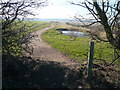 Longcourse Lane - View of Newly Created Footpath