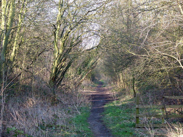 Trackbed of old Railway, Aldersley,... © Roger Kidd :: Geograph Britain ...