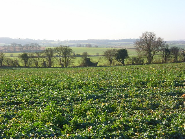Farmland, Ipsden