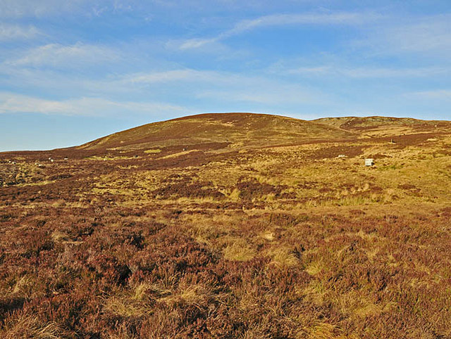 Grouse butts and sheep on the slopes of Meall Reamhar