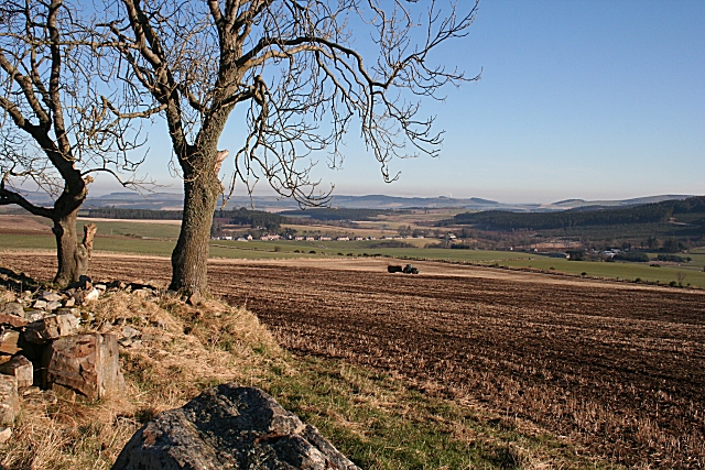 View from Drumfold