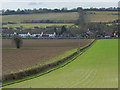 Farmland, Bradenham