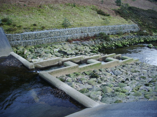 Fish ladder on the River Dunsop