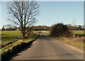 Runsell Lane, looking towards Danbury