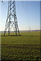 Eastbound pylons near Woodhead Farm