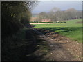 Path to Colemore Green