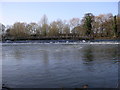 Weir on the River Avon, Offenham Park