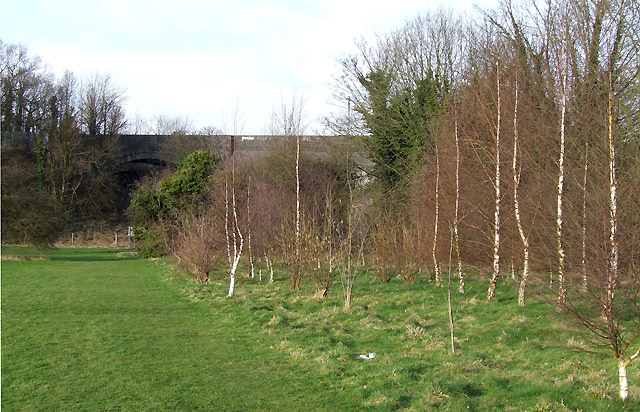 Birchlings and Bridges, Wolverhampton