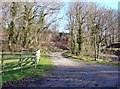 Small quarry at Felinfach, near Cardigan