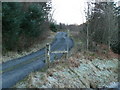 Ffordd Fforest ger Ffridd Bryn-gogledd  / Forest Road near Ffridd Bryn-gogledd