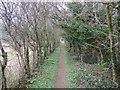 Enclosed Footpath, Fonthill Bishop