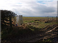 Potato Hill trig point