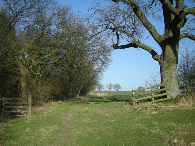 'The Jack Mytton Way' along the ridge of Wenlock Edge