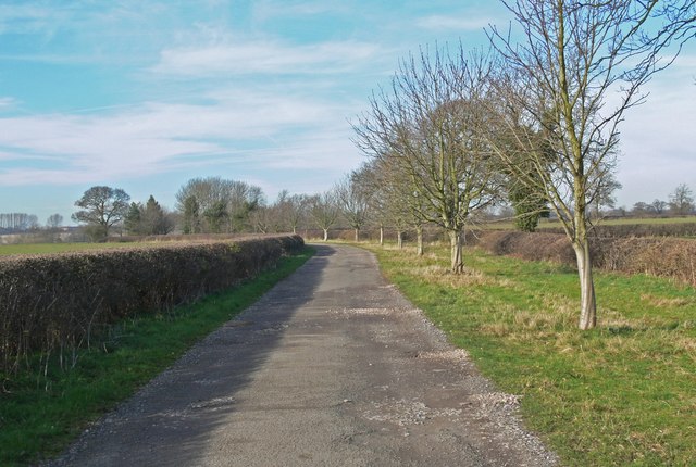 Driveway to Lea Grange Farm