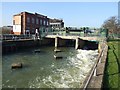 The River Witham, Lincoln