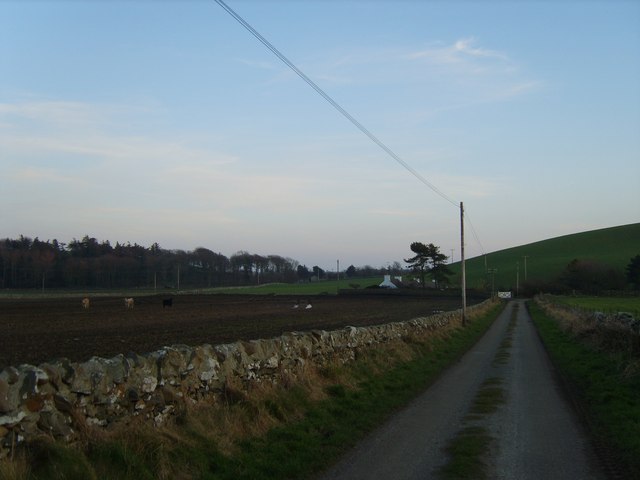 Quiet lane leading to whitewashed cottage