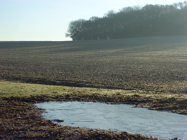 Farmland, Vernham Dean