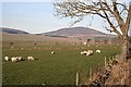 Looking Towards Knock Hill