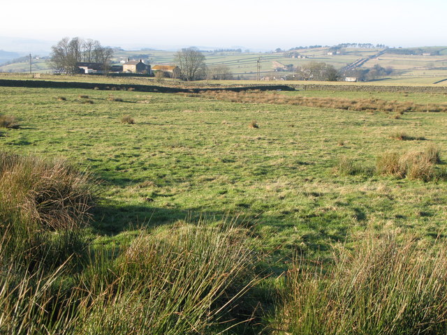 Rough pastures above Stone Stile (2)