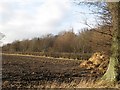 Ploughed field, Forgandenny