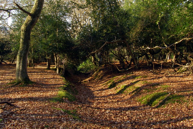 Eastern end of a hollow way, Ridley Wood, New Forest