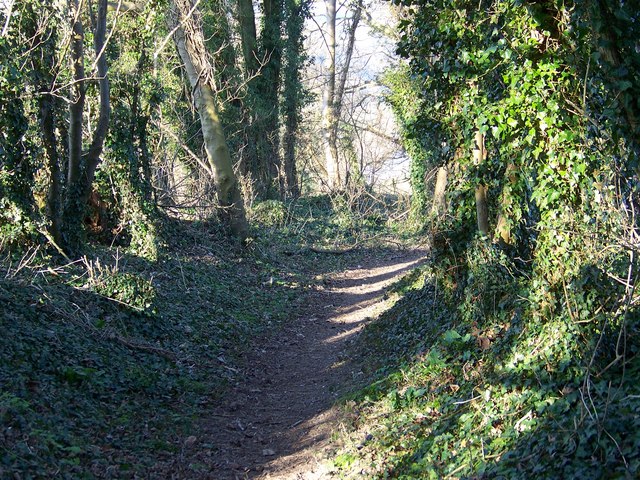 Monarch's Way, Lower Woodford