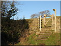 Footpath to Allenmills Bridge