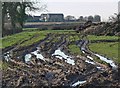 Muddy fields alongside the B4116 Twycross Road