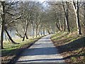 Footpath to Little Durnford