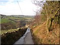 Lane to Spring Fields, Stainland