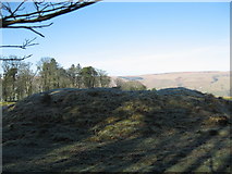 NY8885 : Bell Knowe round cairn by Pete Saunders