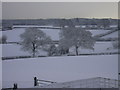 Snow scene at Birch Hill Farm, Ellesmere, Shropshire