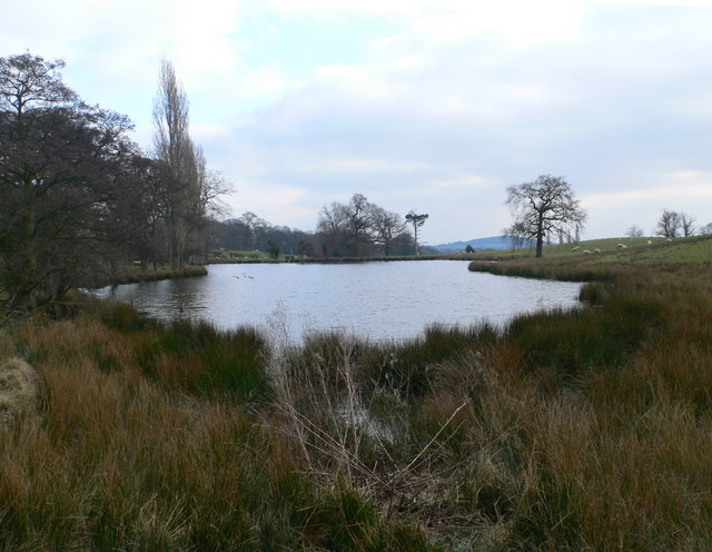 Lake near Plas Newydd Farm, Pontblyddyn © Eirian Evans cc-by-sa/2.0 ...