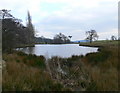 Lake near Plas Newydd Farm, Pontblyddyn