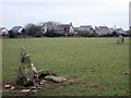 Cornel Bach standing stones, Maenclochog