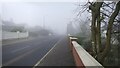 Foggy day, Hospital Road, Omagh