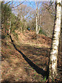 Footpath near Hope Common