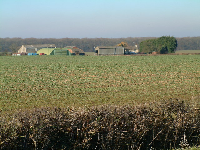 Low Farm from Muckton Bottom Road