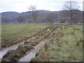 Farm track at Talladale