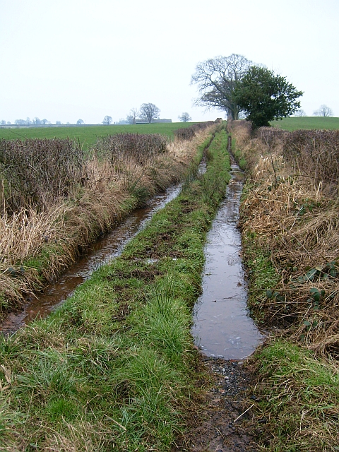 Waterlogged bridleway to Laversdale