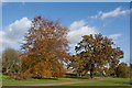 Cassiobury Park showing its autumn colours