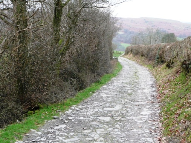 Lane towards Aberedw