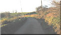 Bend in the Llwyndyrys road