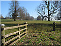 Avenue of trees near Perrystone