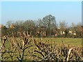 View from Garsington Drive, near Blunsdon St Andrew, Swindon